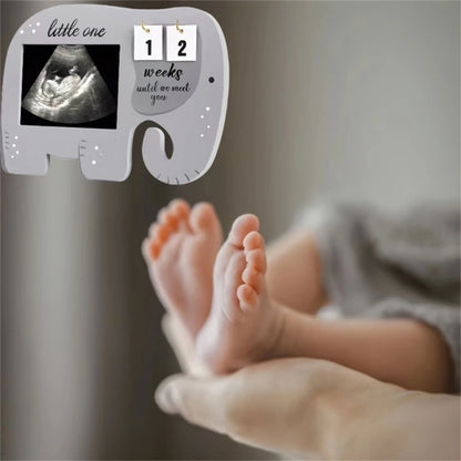 ElephantEcho: Baby Ultrasound Frame