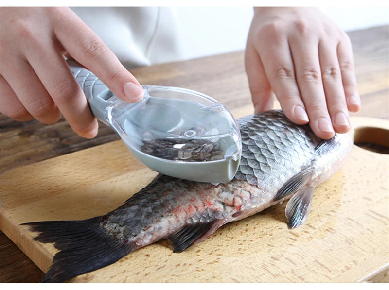 FinelyFish : Appareil à gratter les écailles pour la cuisine à domicile