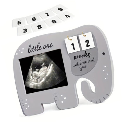 ElephantEcho: Baby Ultrasound Frame