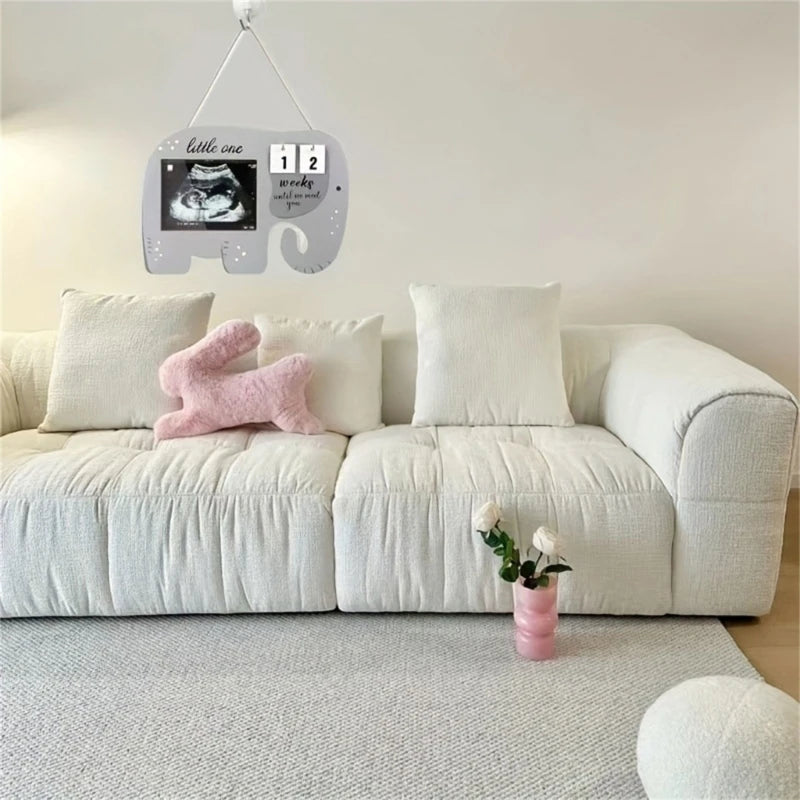 ElephantEcho: Baby Ultrasound Frame