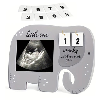 ElephantEcho: Baby Ultrasound Frame